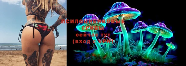 PSILOCYBIN Покров