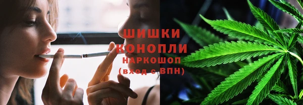 PSILOCYBIN Покров