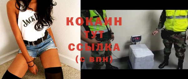 PSILOCYBIN Покров