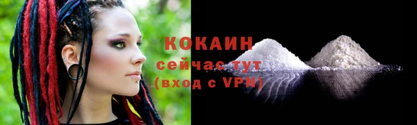 PSILOCYBIN Покров