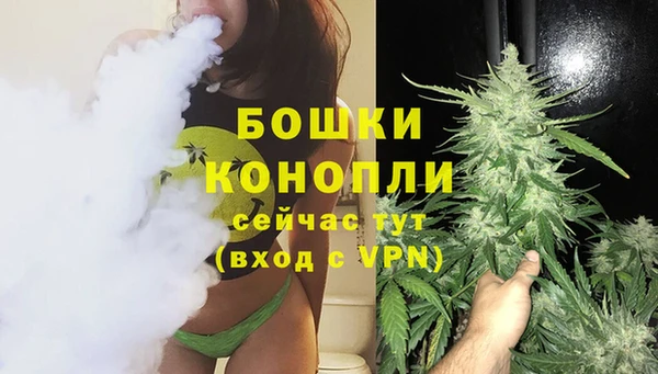 PSILOCYBIN Покров