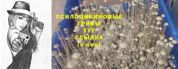спайс Покровск